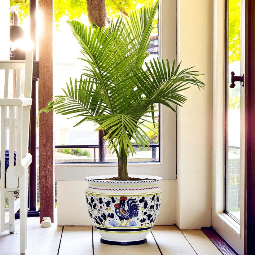 ORVIETO BLUE ROOSTER: Luxury Cachepot Planter Large - Image 2