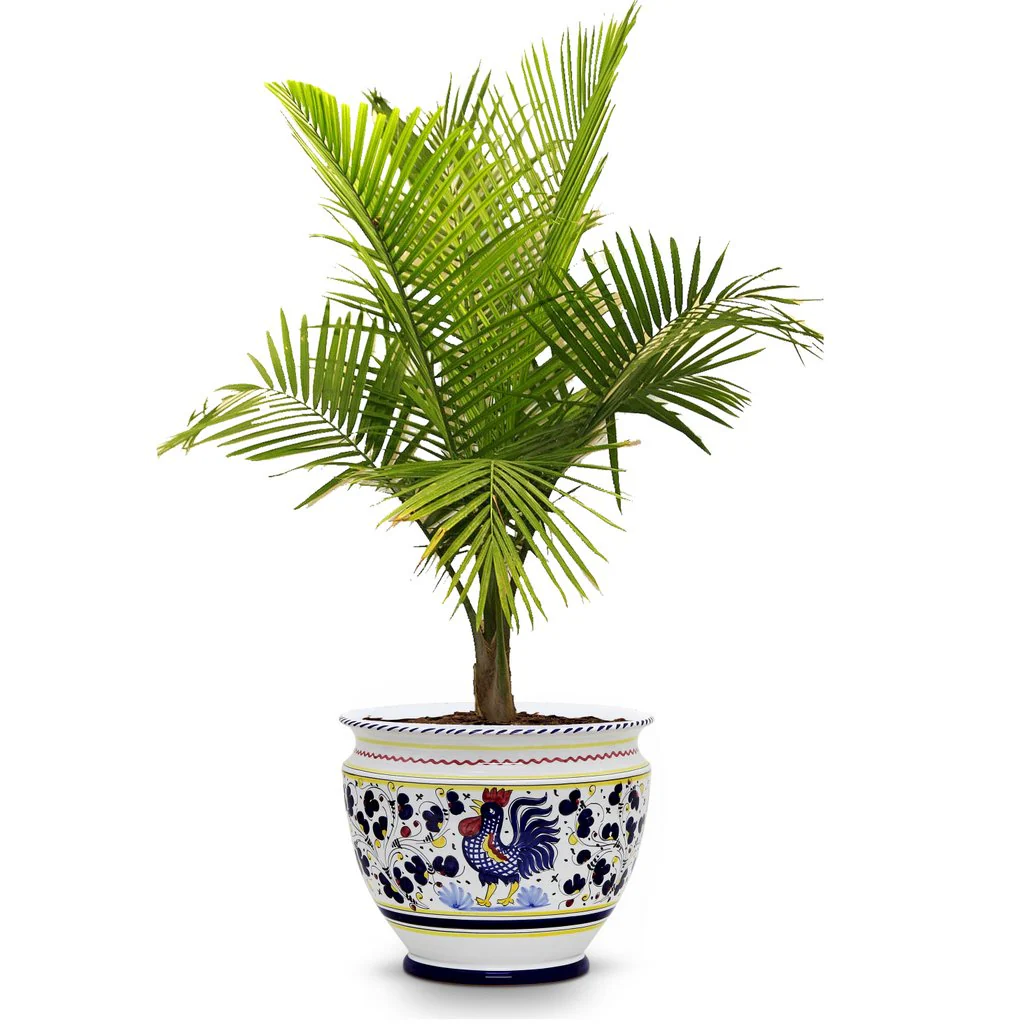 ORVIETO BLUE ROOSTER: Luxury Cachepot Planter Large - Image 4