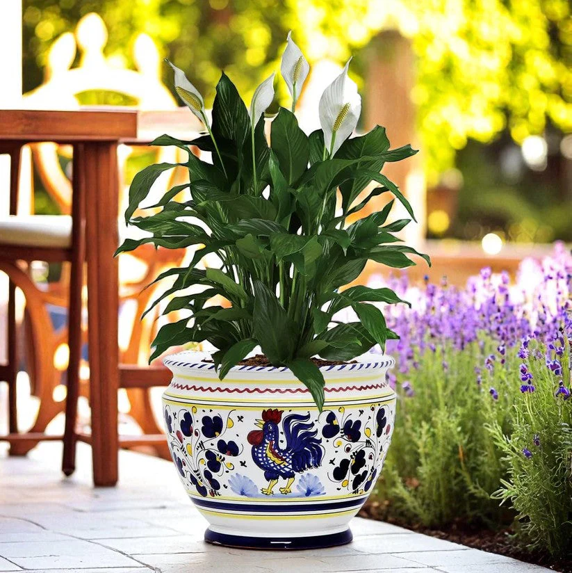 ORVIETO BLUE ROOSTER: Luxury Cachepot Planter Small - Image 2
