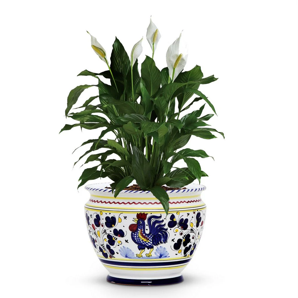 ORVIETO BLUE ROOSTER: Luxury Cachepot Planter Small - Image 4
