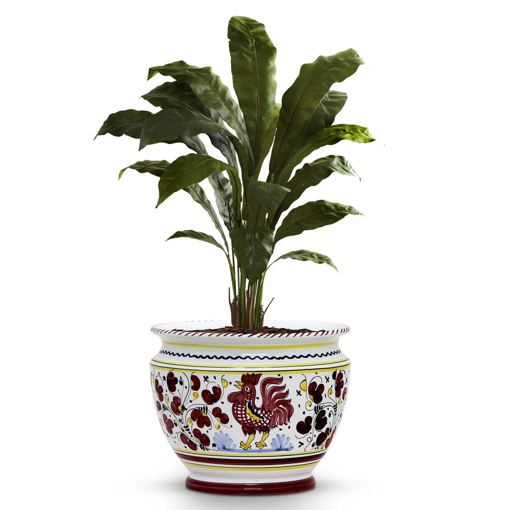 ORVIETO RED ROOSTER: Luxury Cachepot Planter Small - Image 4