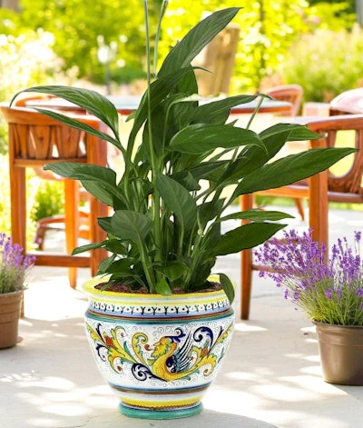 RAFFAELLESCO DELUXE: Luxury Cachepot Planter SM - Image 2