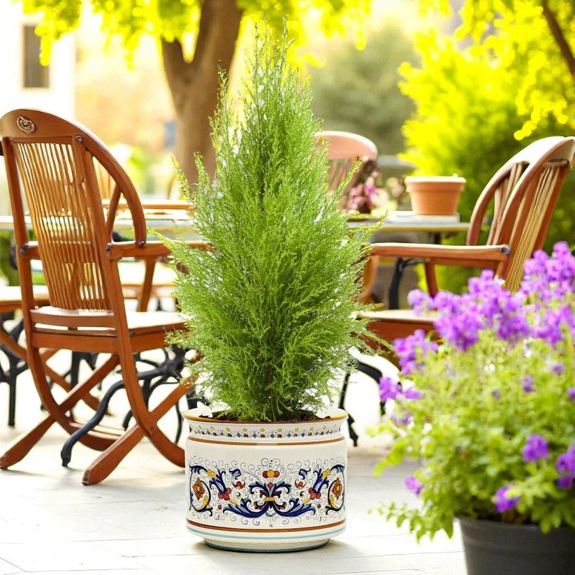 RICCO DERUTA DELUXE: Cylindrical Cover Pot Ricco Deruta Design - Cachepot Planter (Large) - Image 4