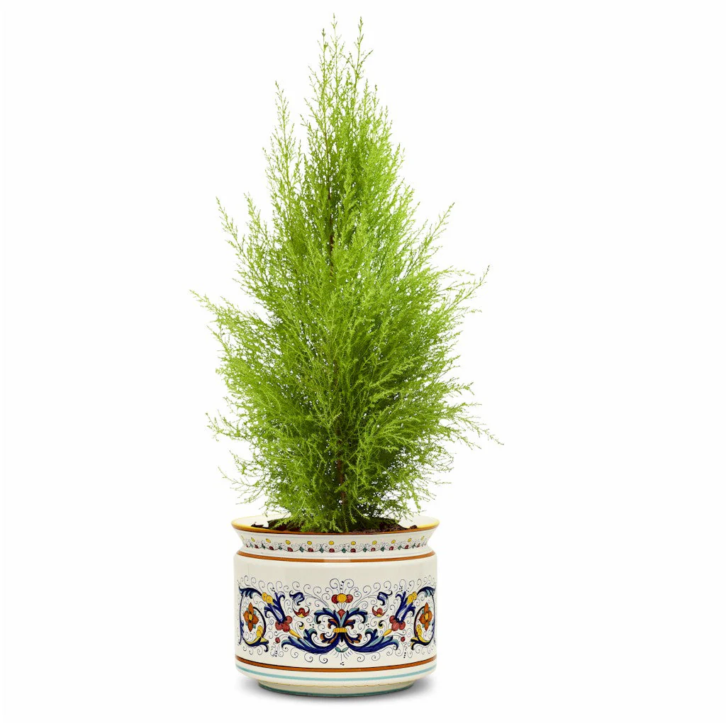 RICCO DERUTA DELUXE: Cylindrical Cover Pot Ricco Deruta Design - Cachepot Planter (Large) - Image 9