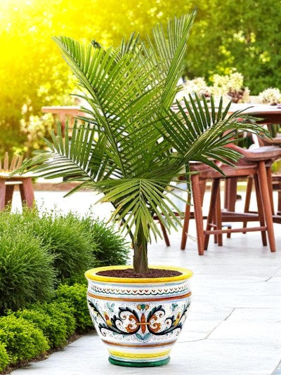 RICCO DERUTA DELUXE: Luxury Cachepot Planter LARGE - Image 2