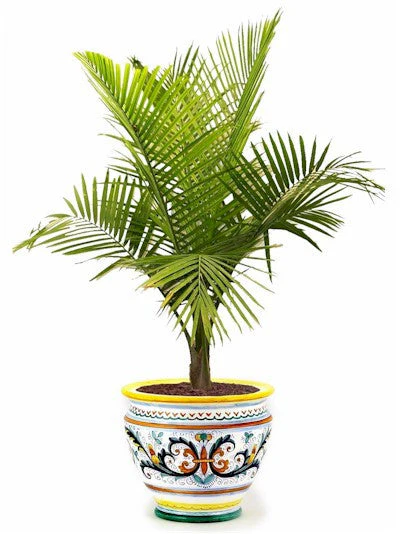 RICCO DERUTA DELUXE: Luxury Cachepot Planter LARGE - Image 4